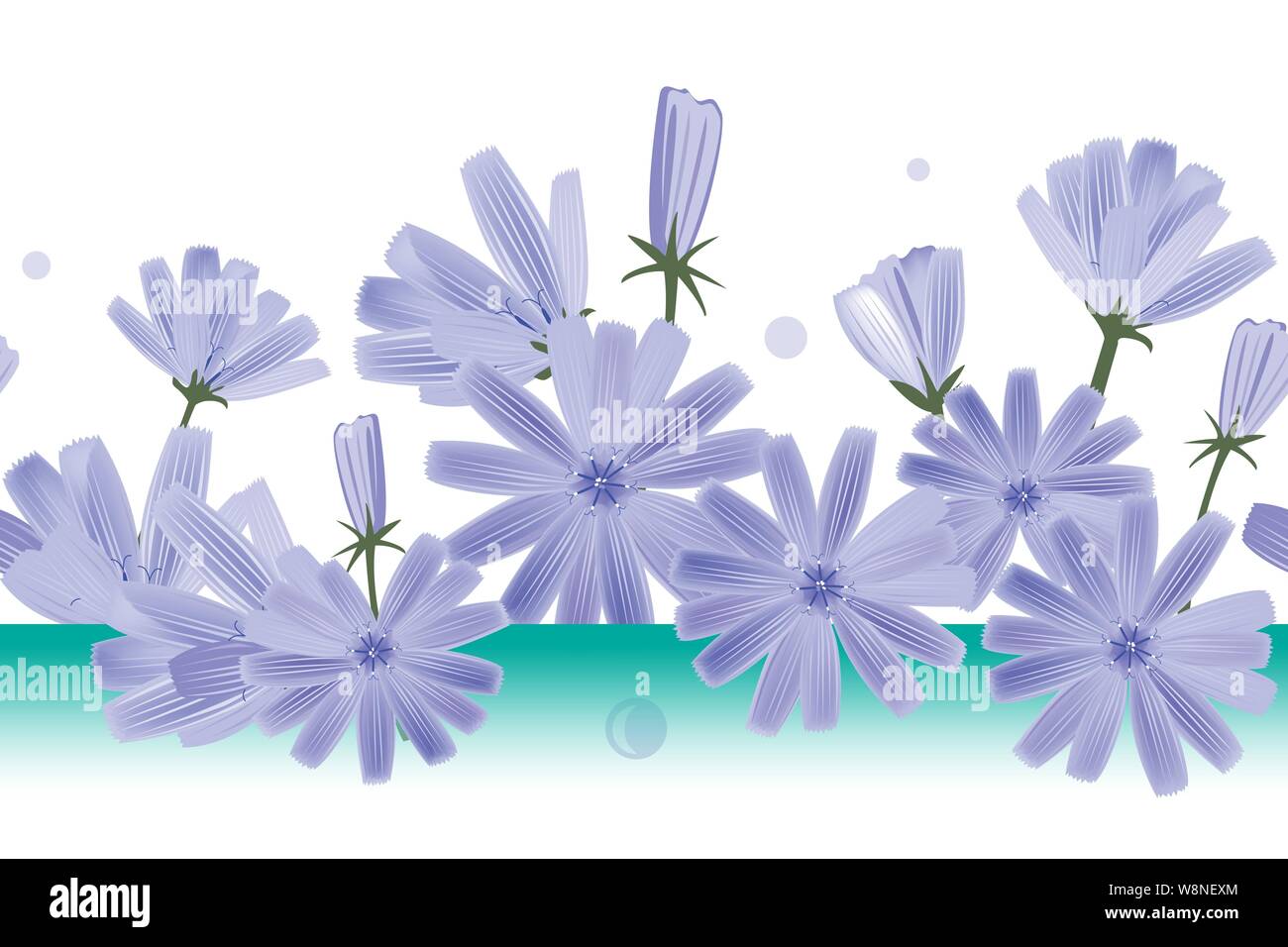 Chicorée blumen Vektor nahtlose Muster. Design für Tapeten, Textilien, oder zichorien Verpackung extrahieren Stock Vektor
