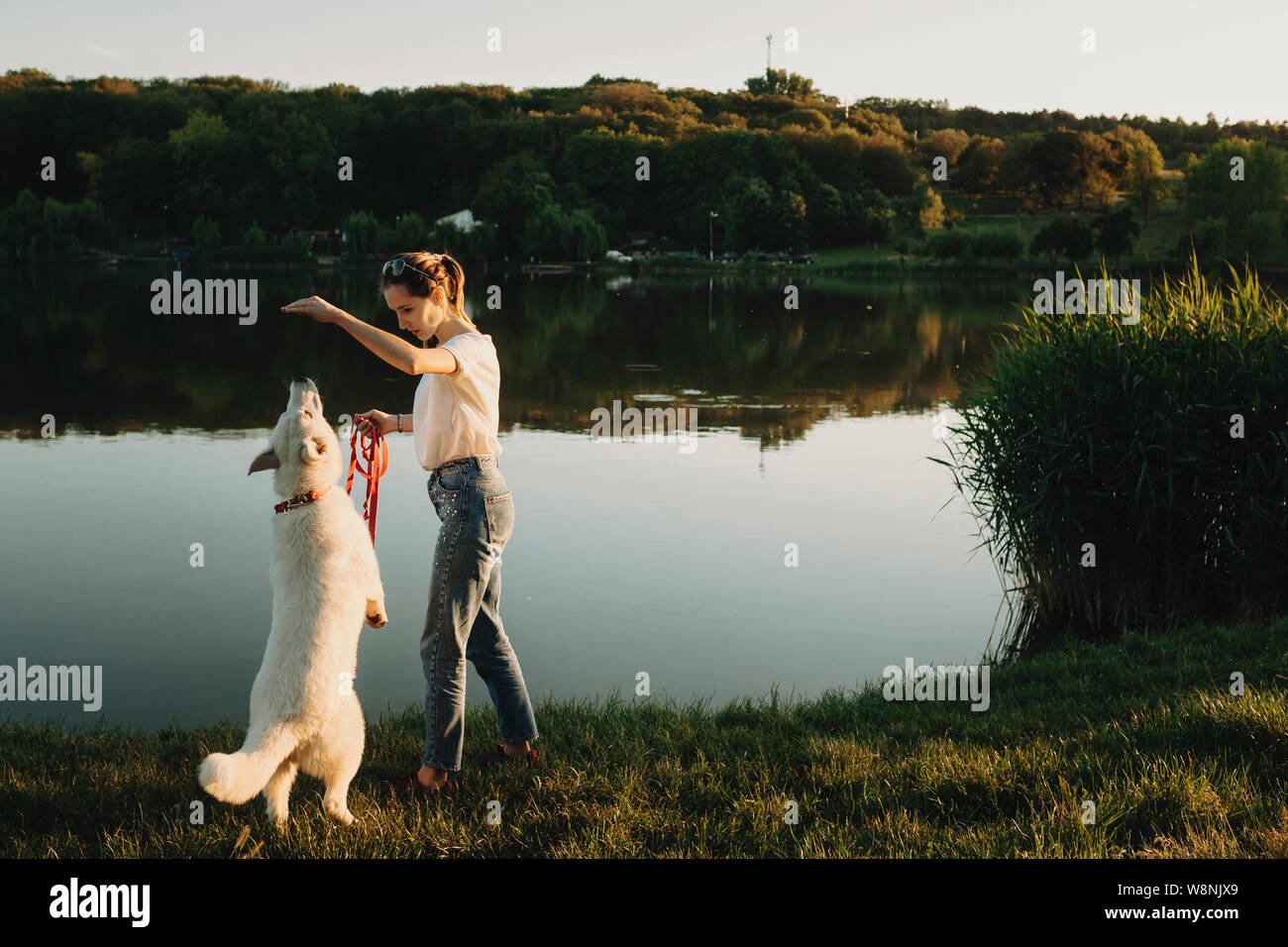 Seitenansicht des Weiblichen im Sommer Kleidung die Hand auf und spielen mit weißer Hund auf hinterpfoten in der Nähe bei Sonnenuntergang mit Wasser und Bäume auf Backgr Stockfoto