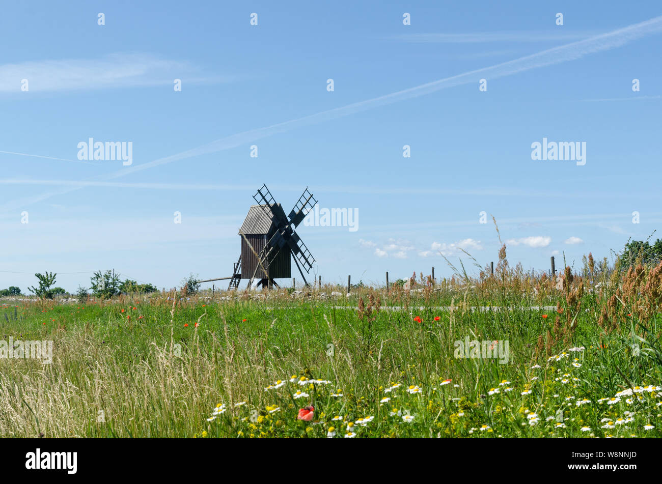 Traditionelle hölzerne Windmühle, das Symbol der Insel der Sonne und Wind Oland in der Ostsee in Schweden Stockfoto