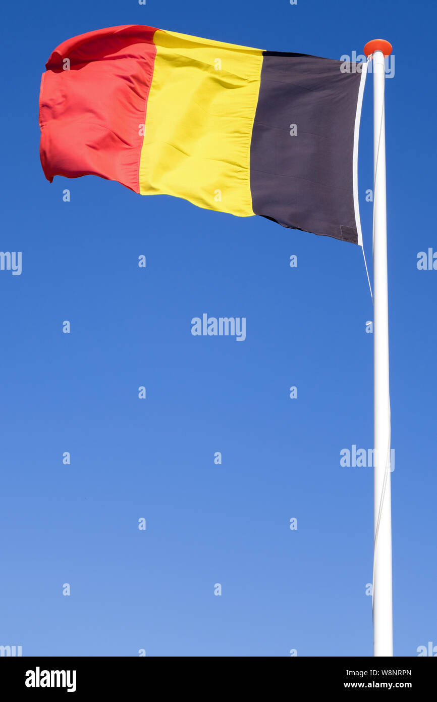 Die belgische Flagge im Wind Stockfoto