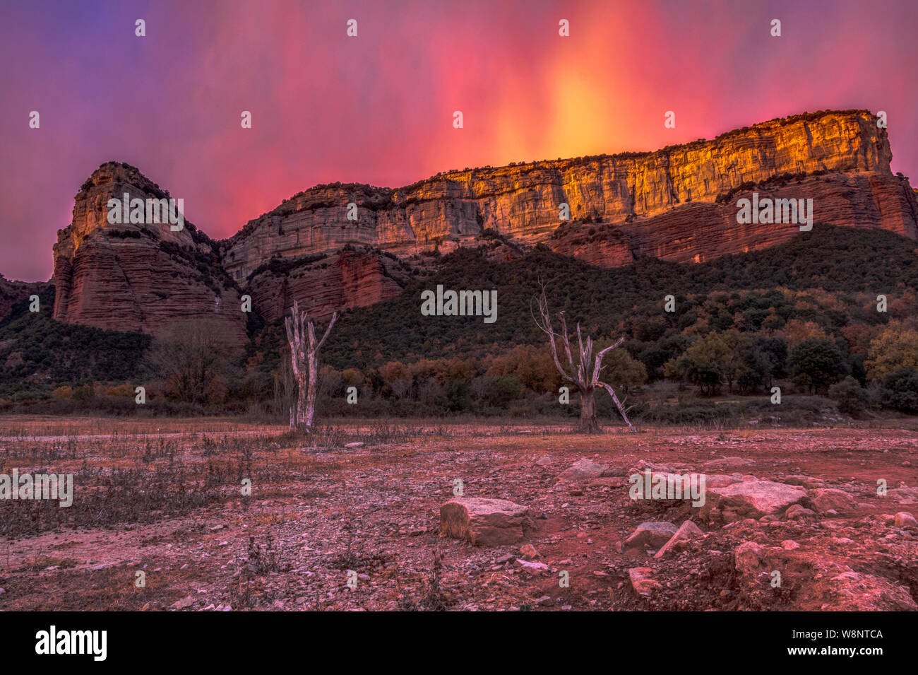Pantà de Sau Stockfoto