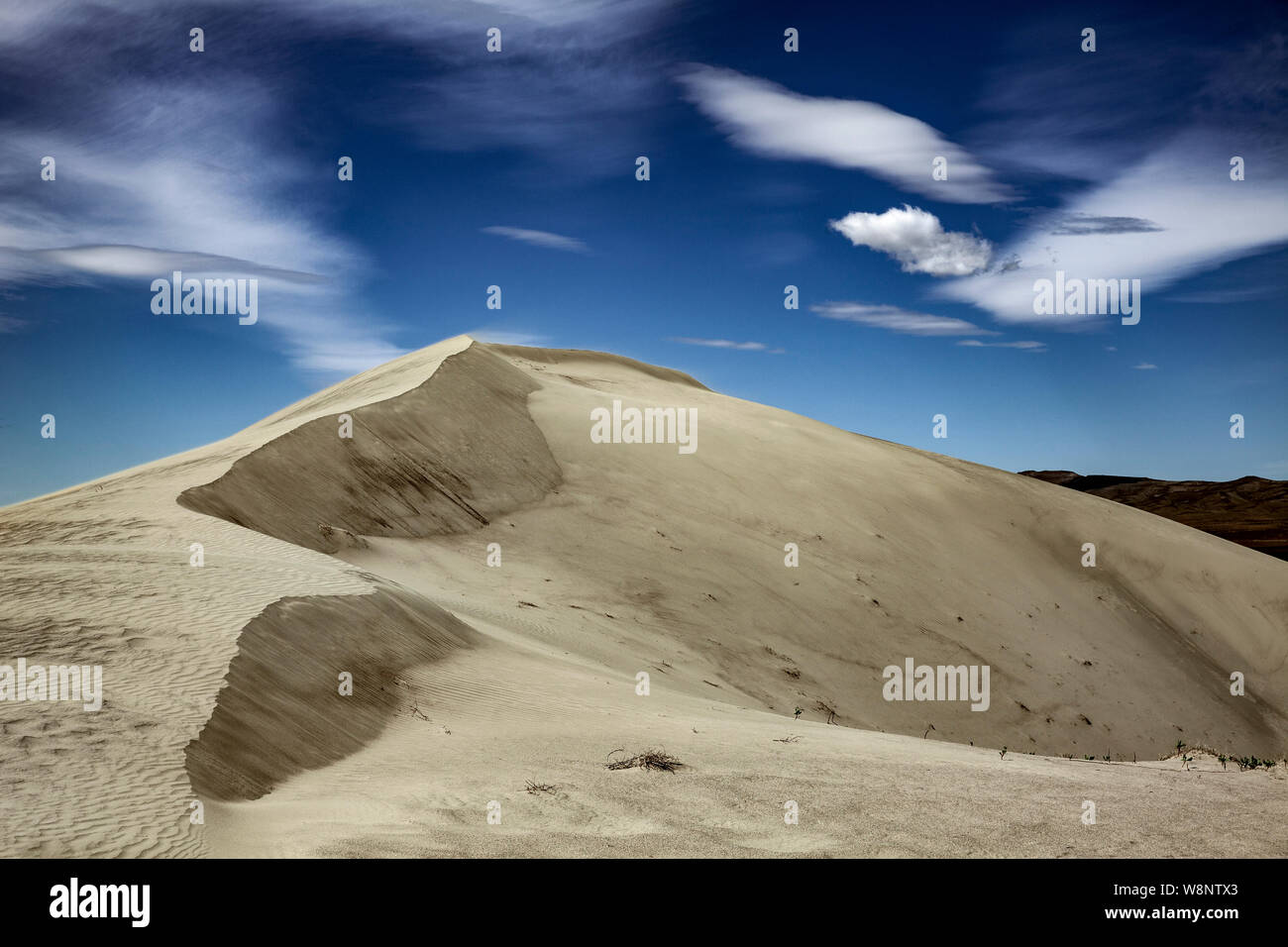 WA 17207-00 ... WASHINGTON - Sanddüne in der Hanford Reach National Monument. Stockfoto