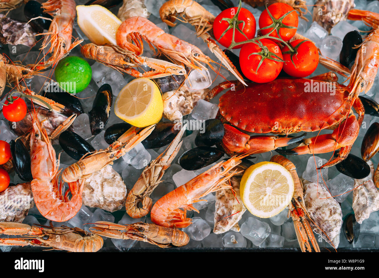 Meeresfrüchte auf Eis. Krabben, Stör, Muscheln, Garnelen, Rapana, Dorado, auf weissem Eis. Stockfoto