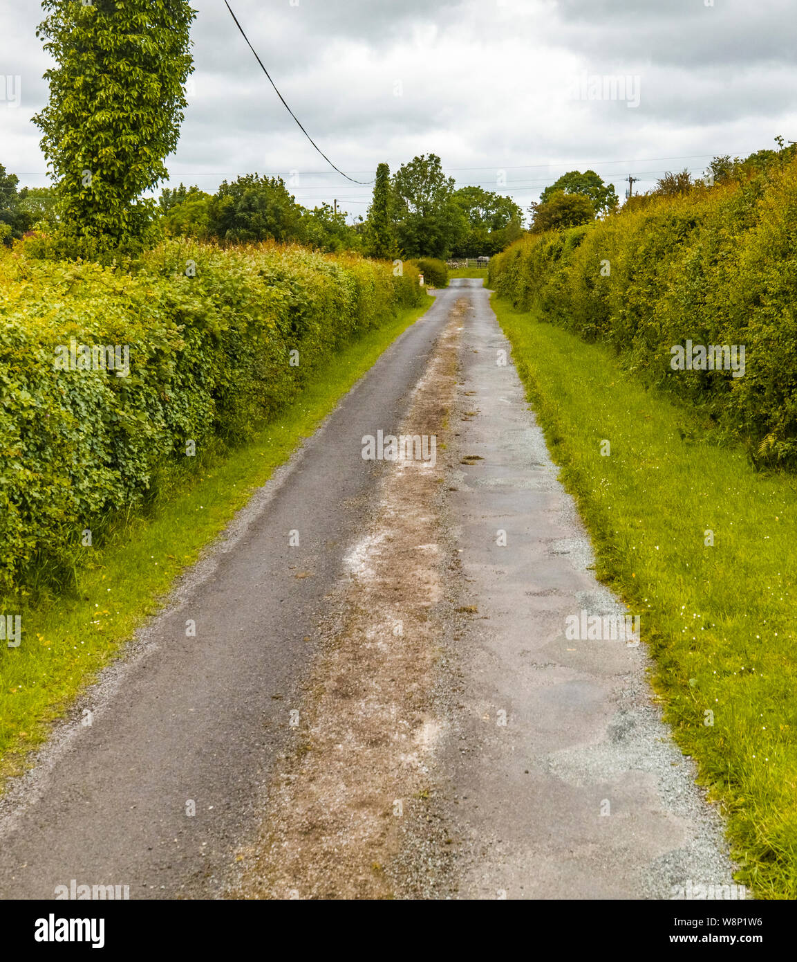 Der County Road in West Irland Stockfoto