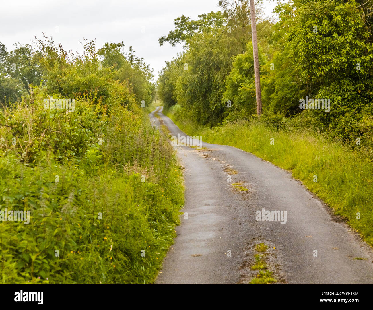 Der County Road in West Irland Stockfoto