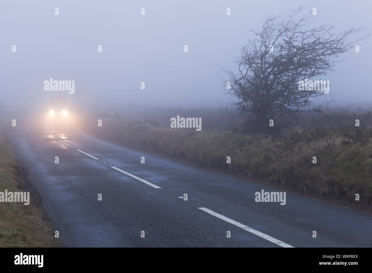 Ein Auto nähert sich in dichtem Nebel auf de straße auf Exmoor National Park. Die geringe Sichtbarkeit sorgt für gefährliche Fahrsituationen. Stockfoto