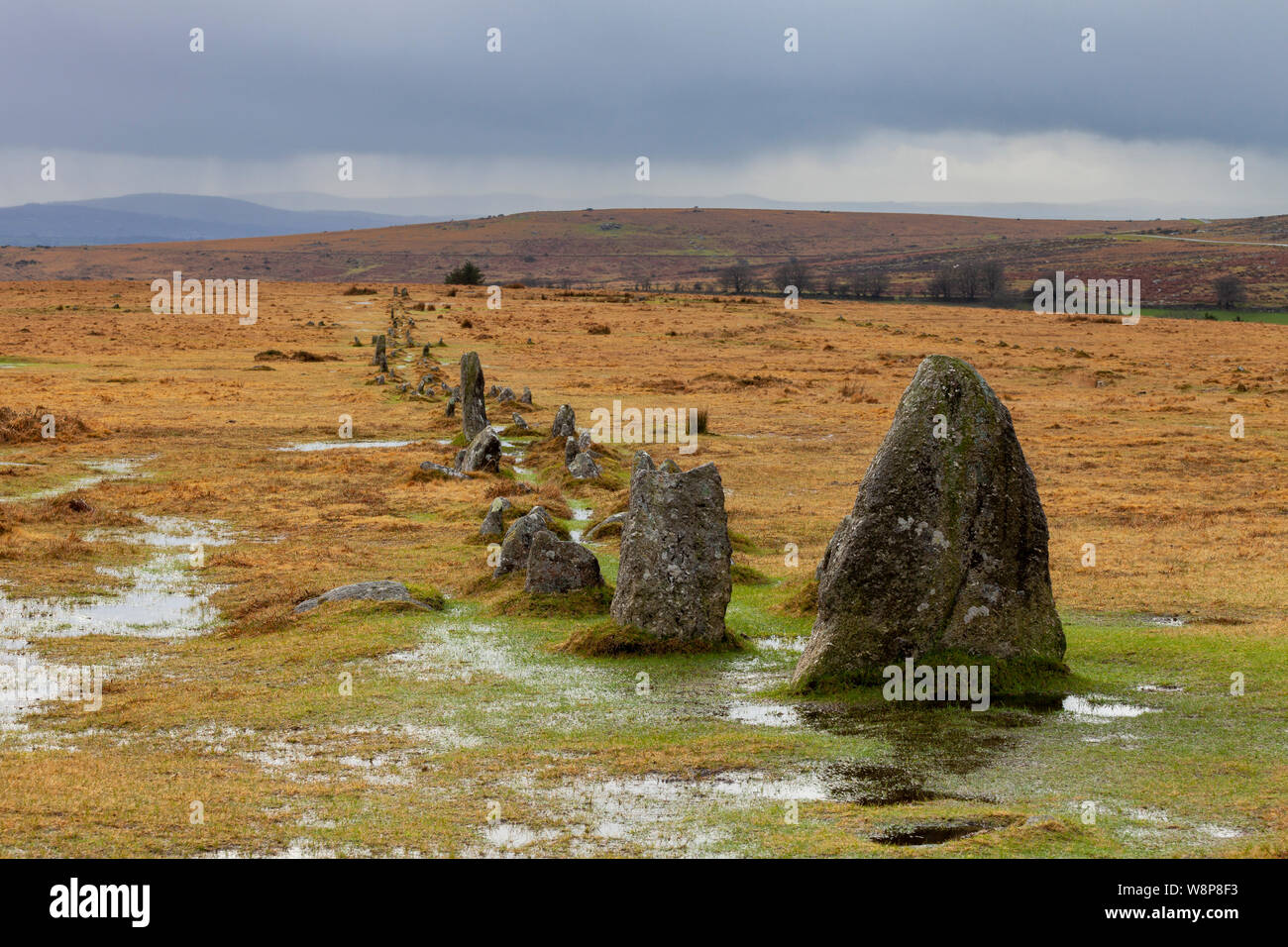 Alte Stein Reihe bei merrivale Steinkreis in Dartmoor National Park, Devon, an einem regnerischen Tag. Stockfoto