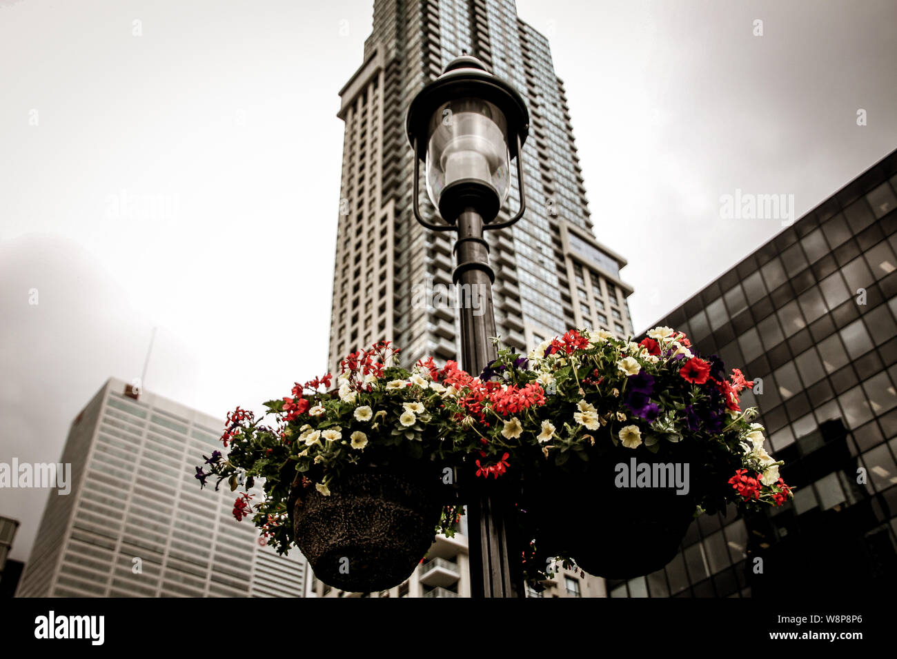 Unterwegs in den Straßen von Toronto im Juni 2019, Kanada Stockfoto