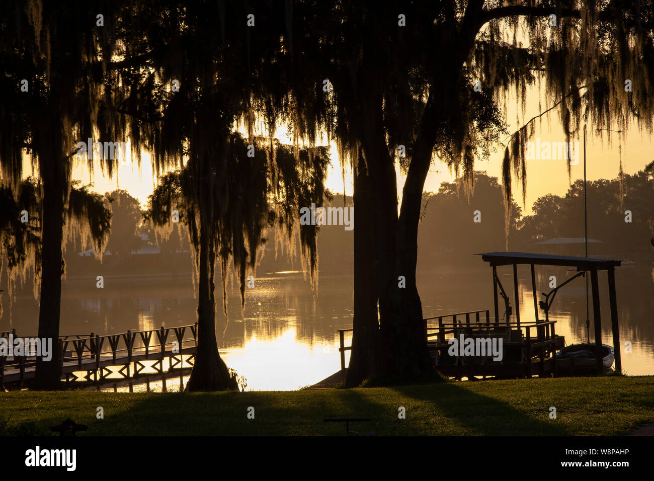 Tagesanbruch auf einem kleinen See in zentralem Florida mit spanischem Moos hängen von den Bäumen. Stockfoto