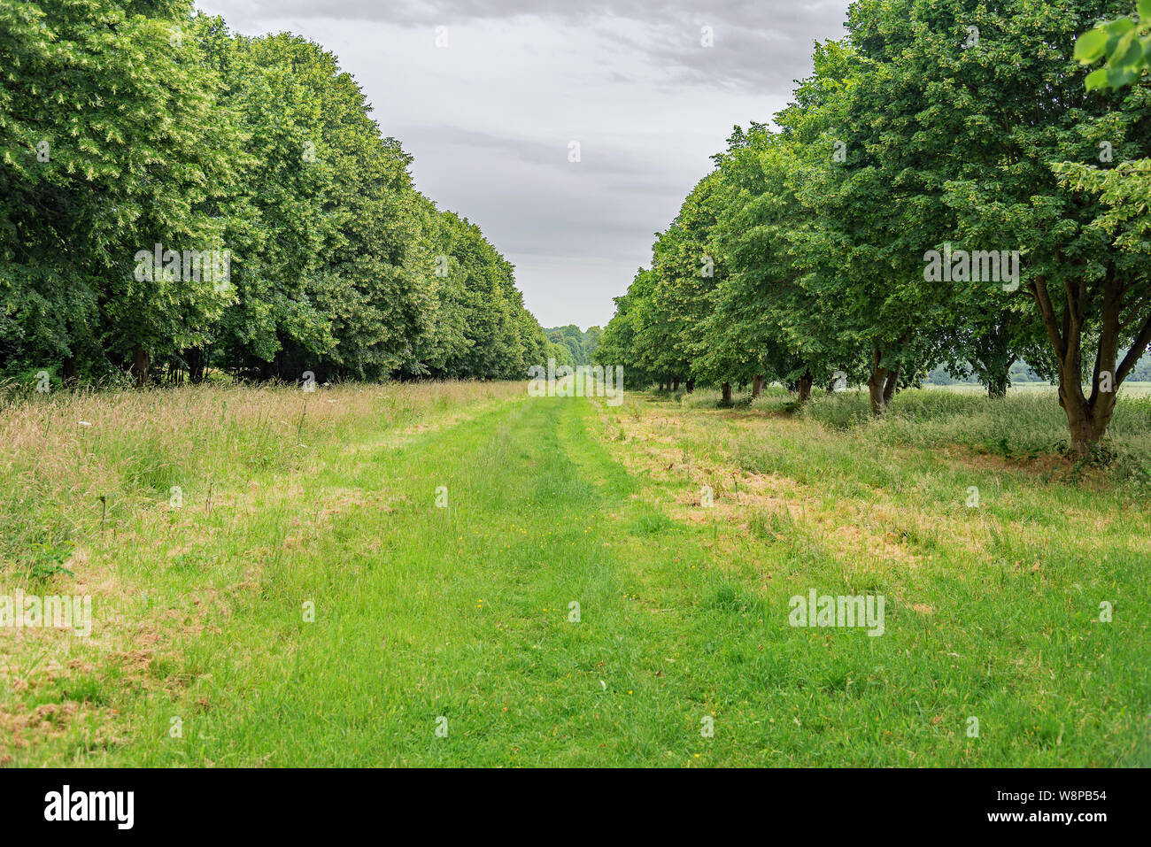 Kalk Lane Ansichten - Cobham Hall - Großbritannien Stockfoto