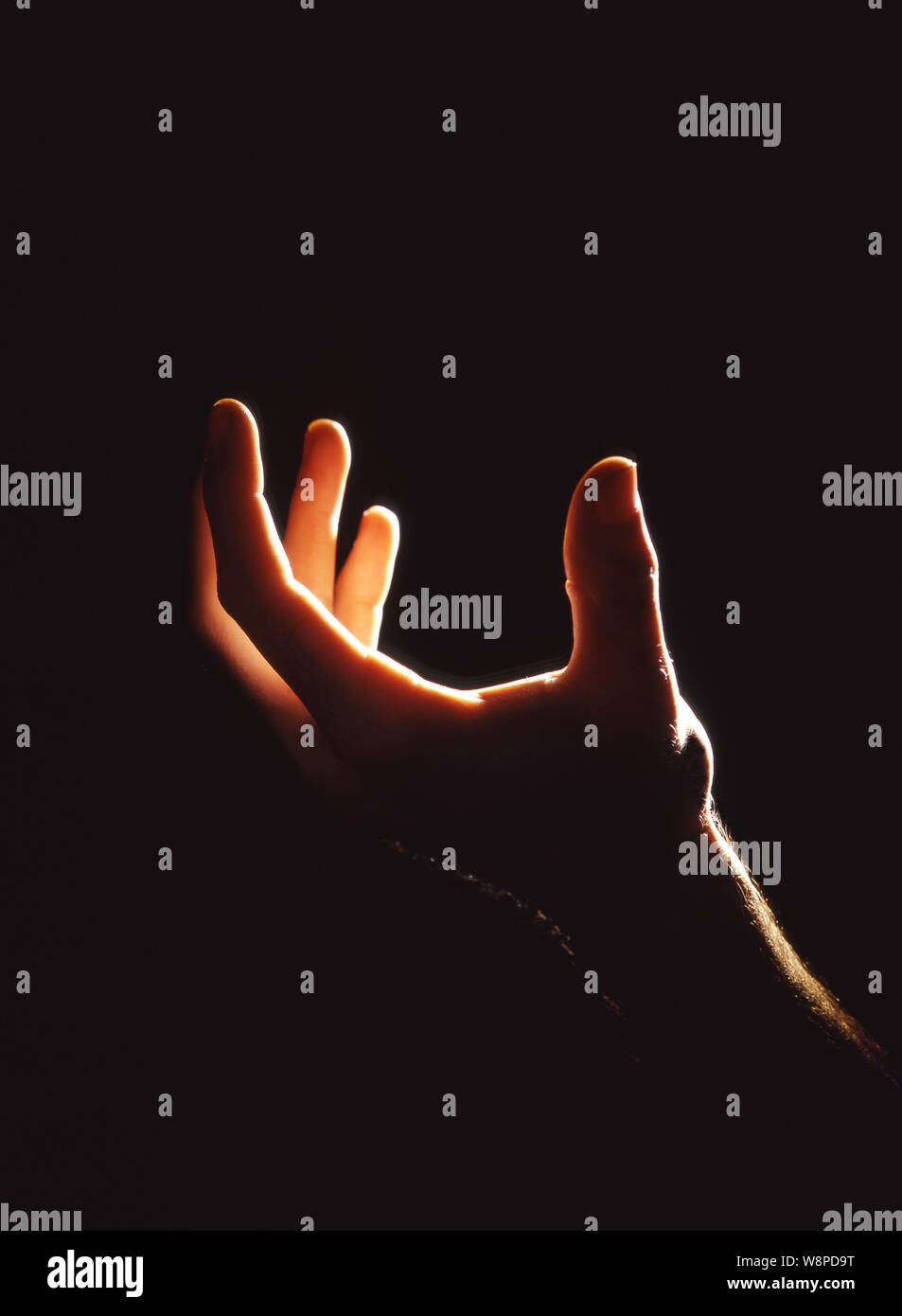 Hand im Licht Stockfoto
