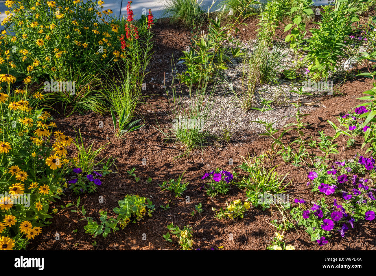 Native Garten vor einem Bungalow in Oak Park Stockfoto