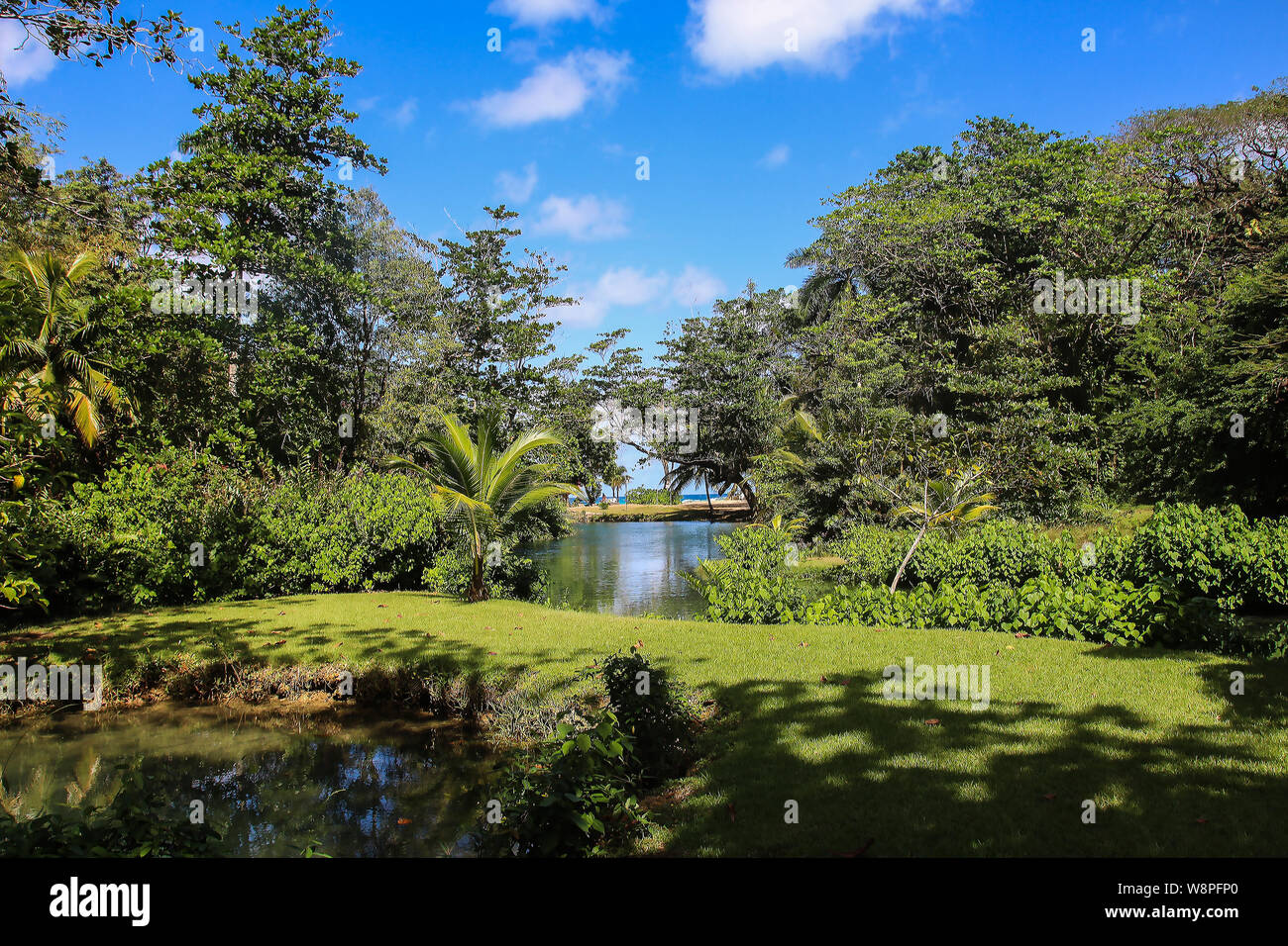 Jamaika bietet weiße Sandstrände, malerische Wasserfälle, blauen Lagunen und das kristallklare Karibische Meer Stockfoto