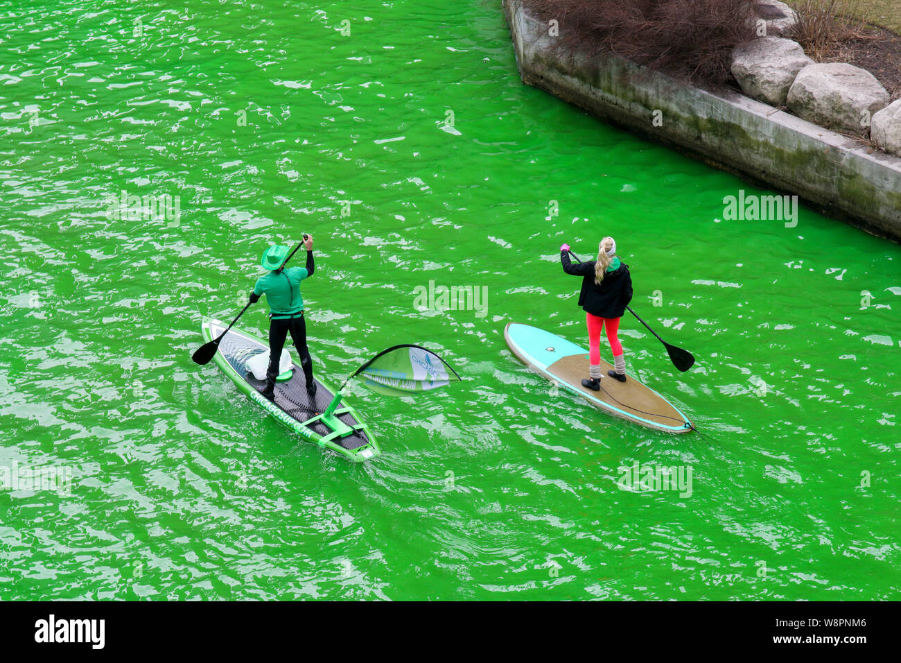 Stand Up Paddle Boarder auf dem Chicago River gefärbt grün für St. Patrick's Day. Stockfoto