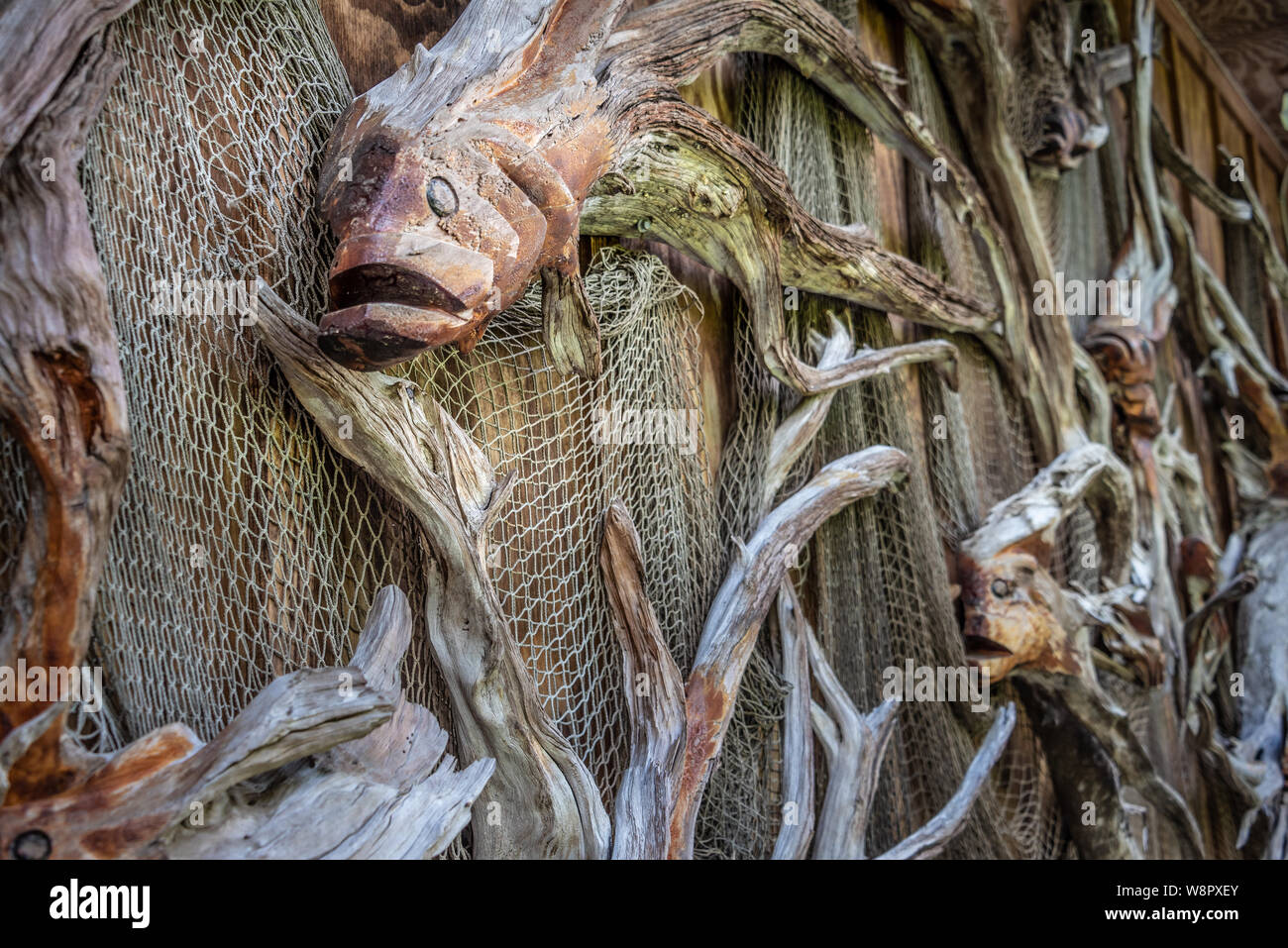 Clark's Fish Camp bietet ein einzigartiges kulinarisches Erlebnis auf Julington Creek in Jacksonville, FL mit dem größten privaten taxidermy Sammlung in den USA. Stockfoto