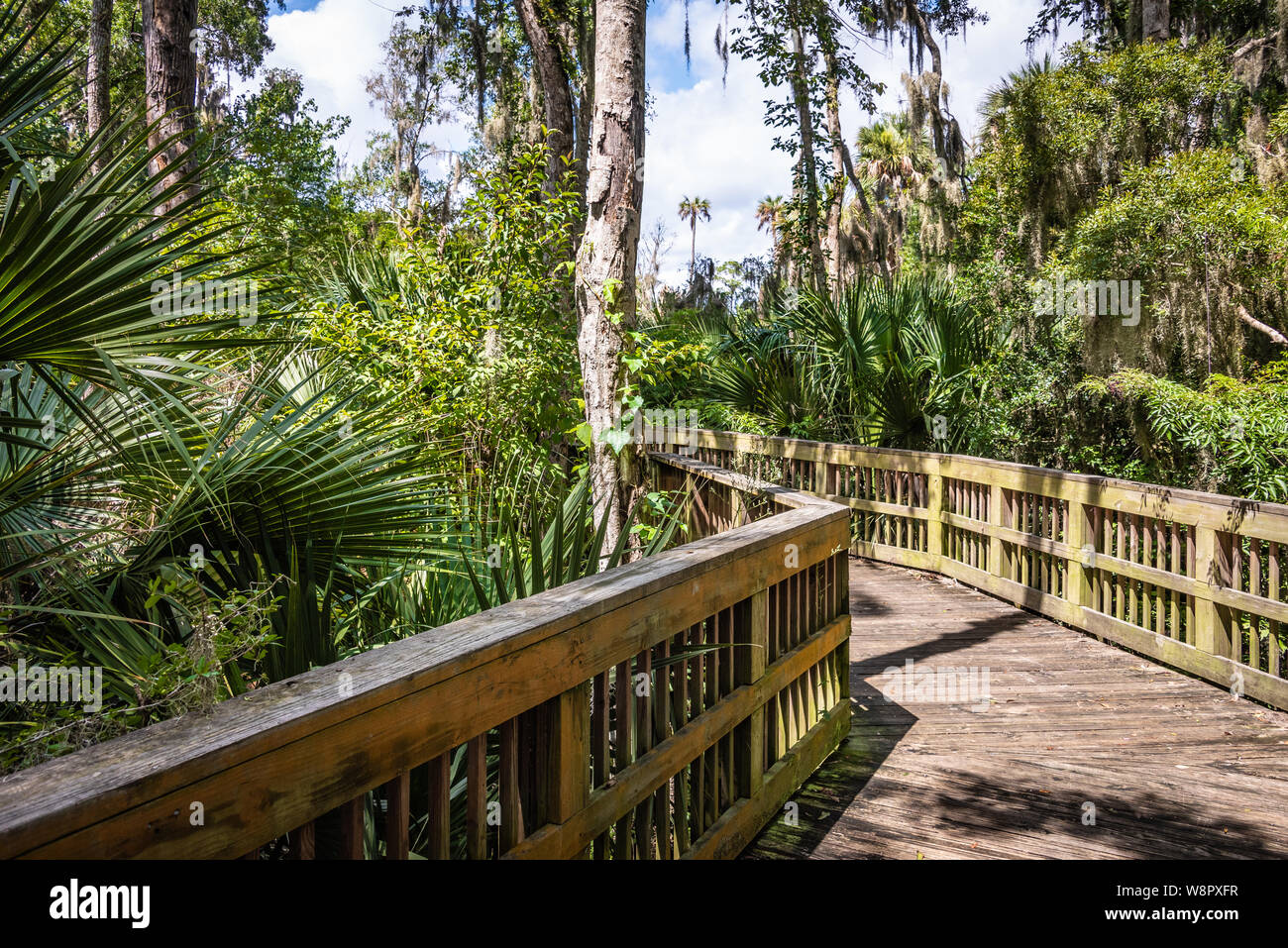 Promenade an der Ladestation Creek Bewahren entlang der Pablo Creek Mündung der Intracoastal Waterway in Jacksonville Beach, Florida. (USA) Stockfoto