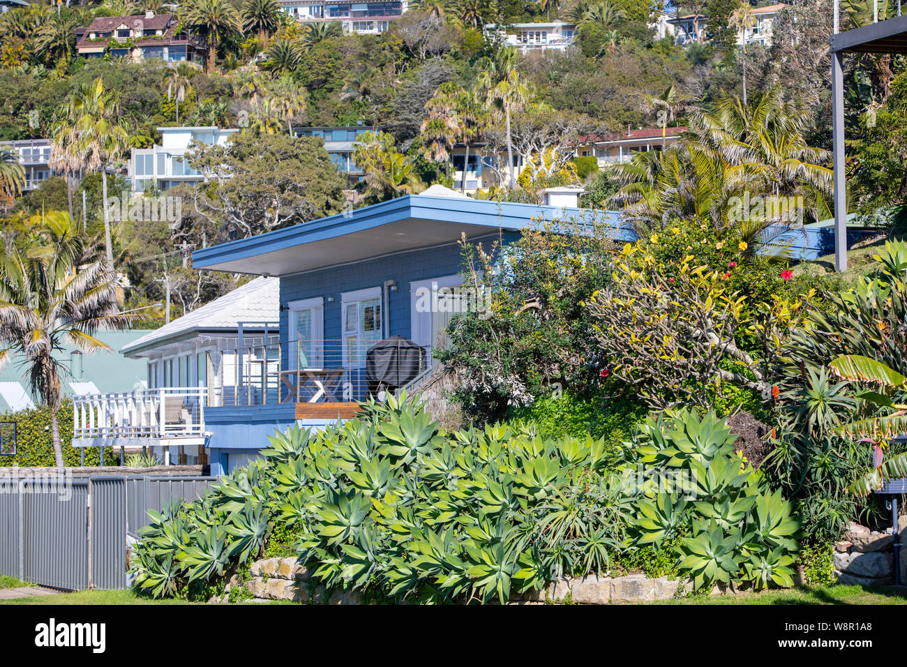 Große teure Häuser im wohlhabenden Vorort am Strand von Palm beach, Sydney, New South Wales, Australien Stockfoto