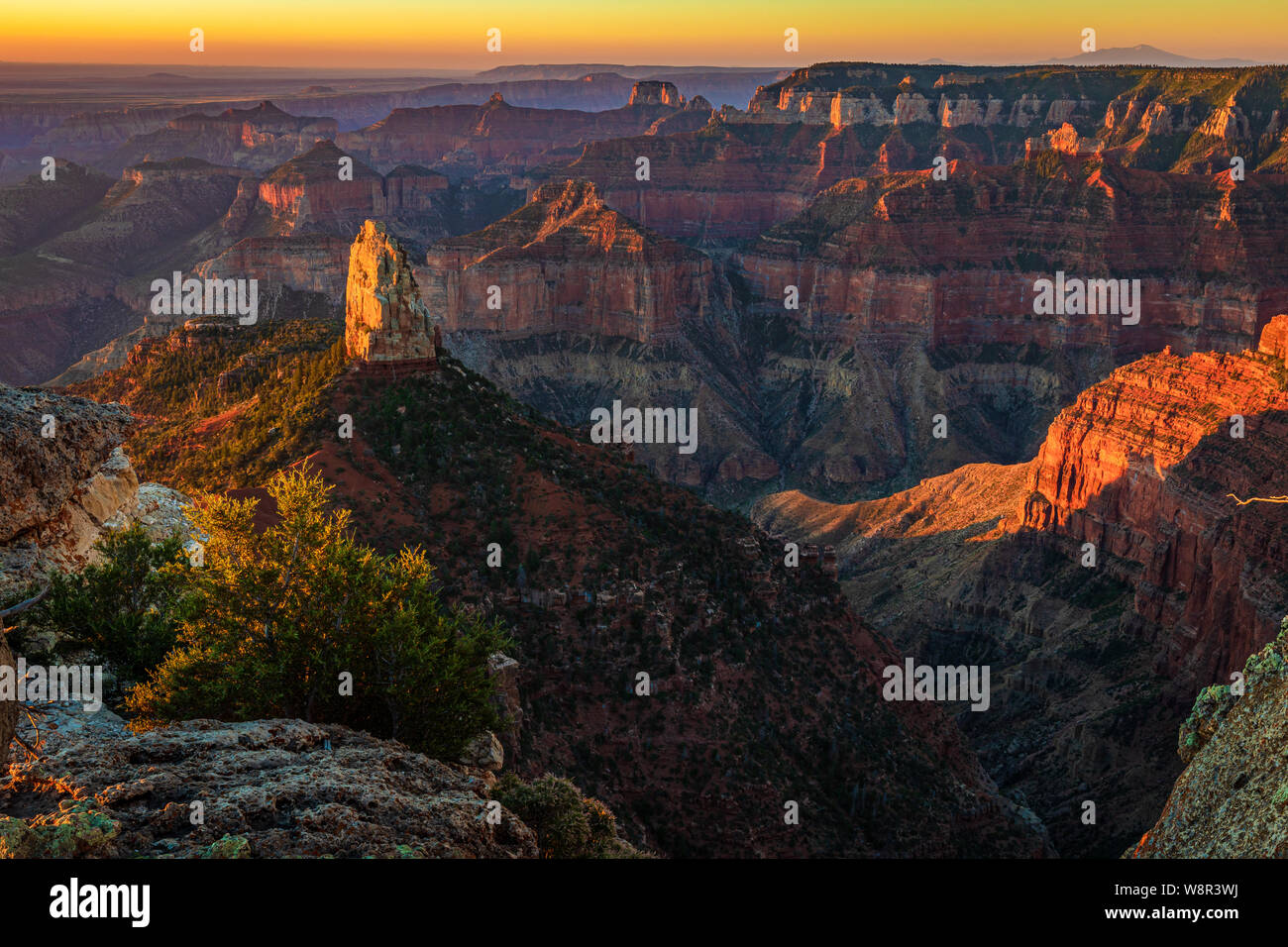 Sonnenaufgang am Point Imperial auf der North Rim des Grand Canyon National Park, Arizona Stockfoto