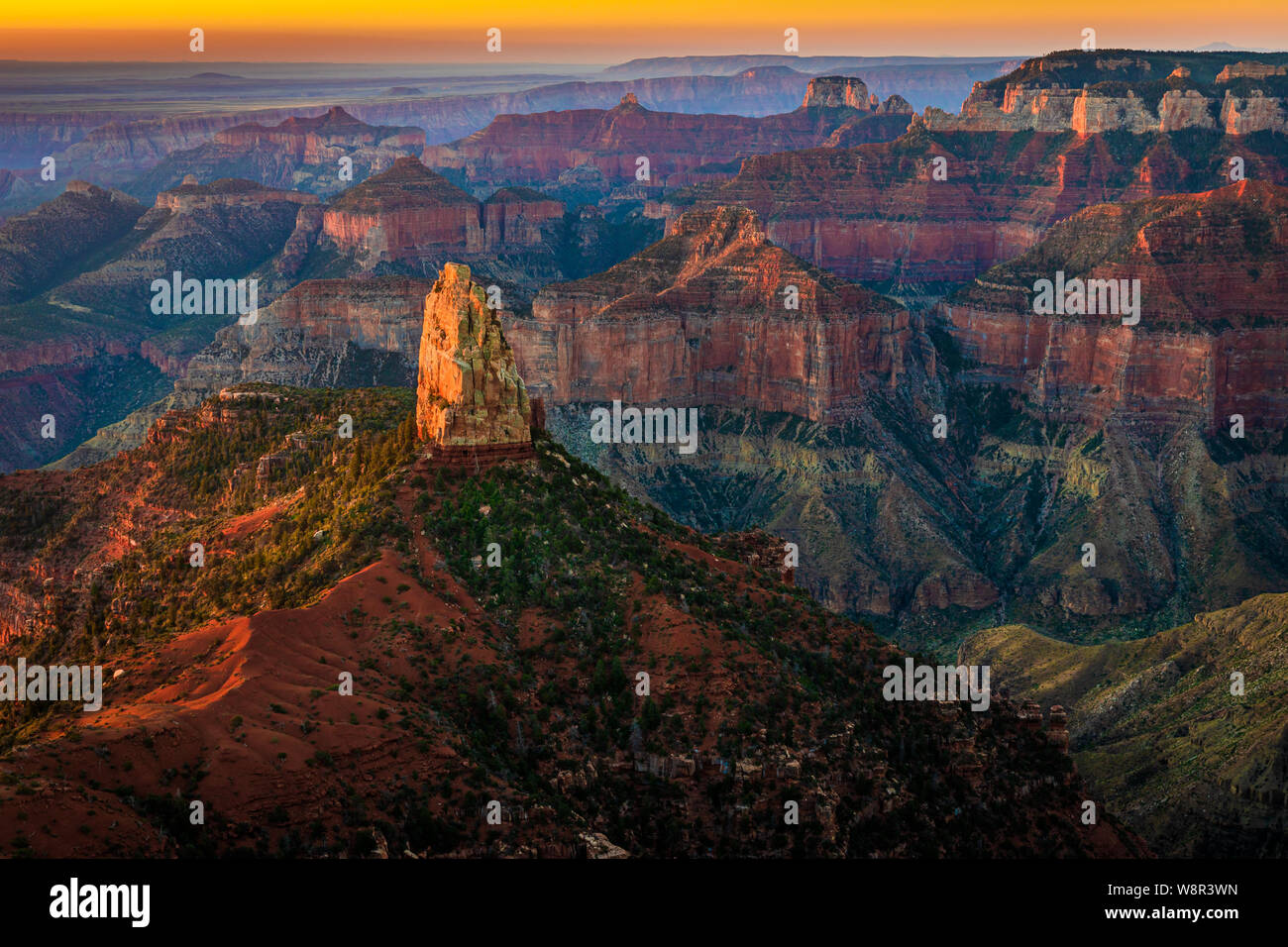 Sonnenaufgang am Point Imperial auf der North Rim des Grand Canyon National Park, Arizona Stockfoto