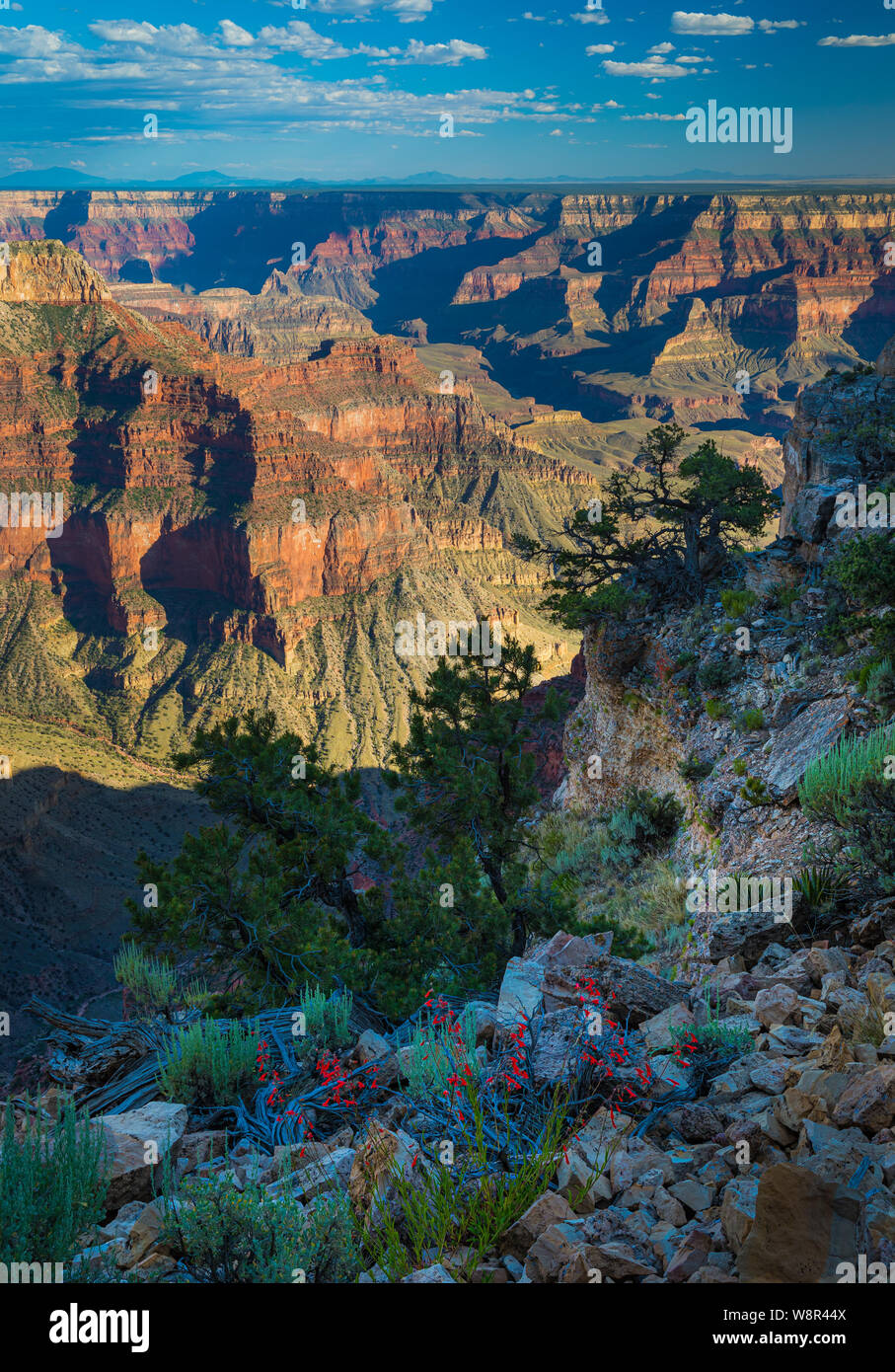 Point Sublime auf der North Rim des Grand Canyon Nationalpark in Arizona, Usa Stockfoto