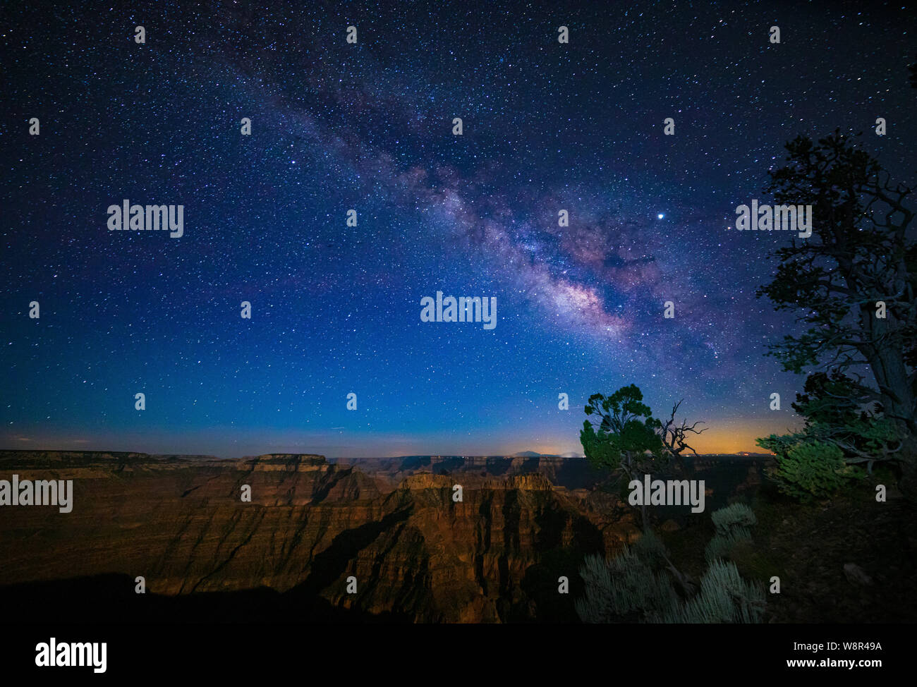 Den Nachthimmel und Milchstraße über Point Sublime auf der North Rim des Grand Canyon, Arizona Stockfoto