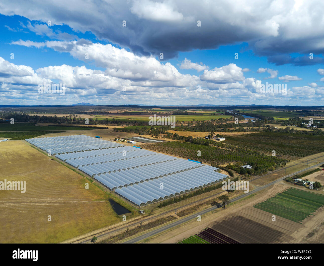 Antenne aus Kunststoff Tunnel Gehäuse hydroponic gewachsen Heidelbeeren Pflanzen bei Wallaville Queensland Australien Stockfoto