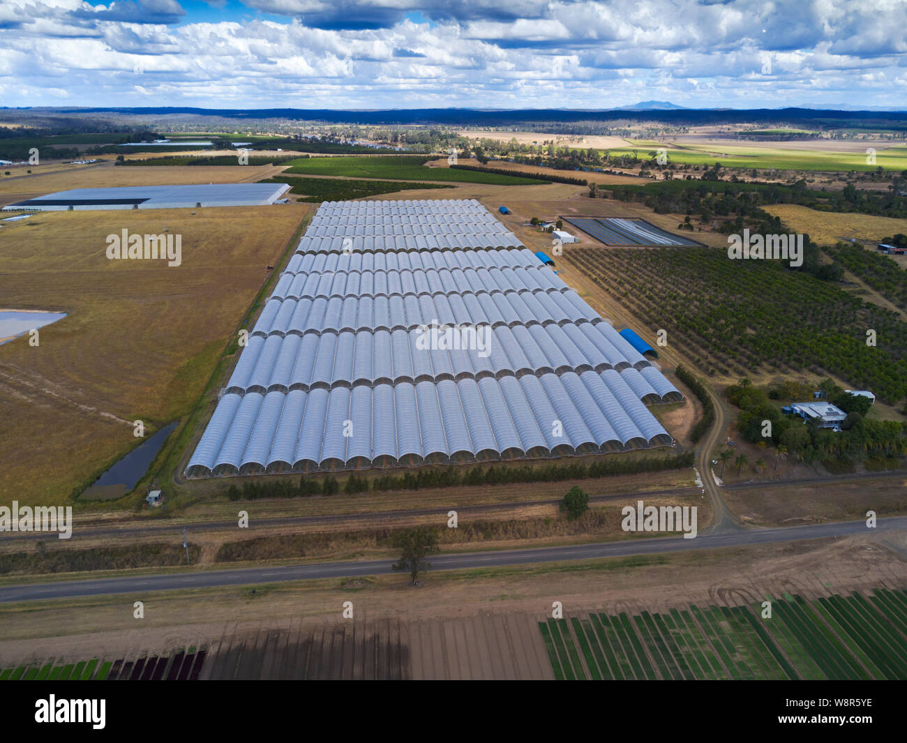 Antenne aus Kunststoff Tunnel Gehäuse hydroponic gewachsen Heidelbeeren Pflanzen bei Wallaville Queensland Australien Stockfoto