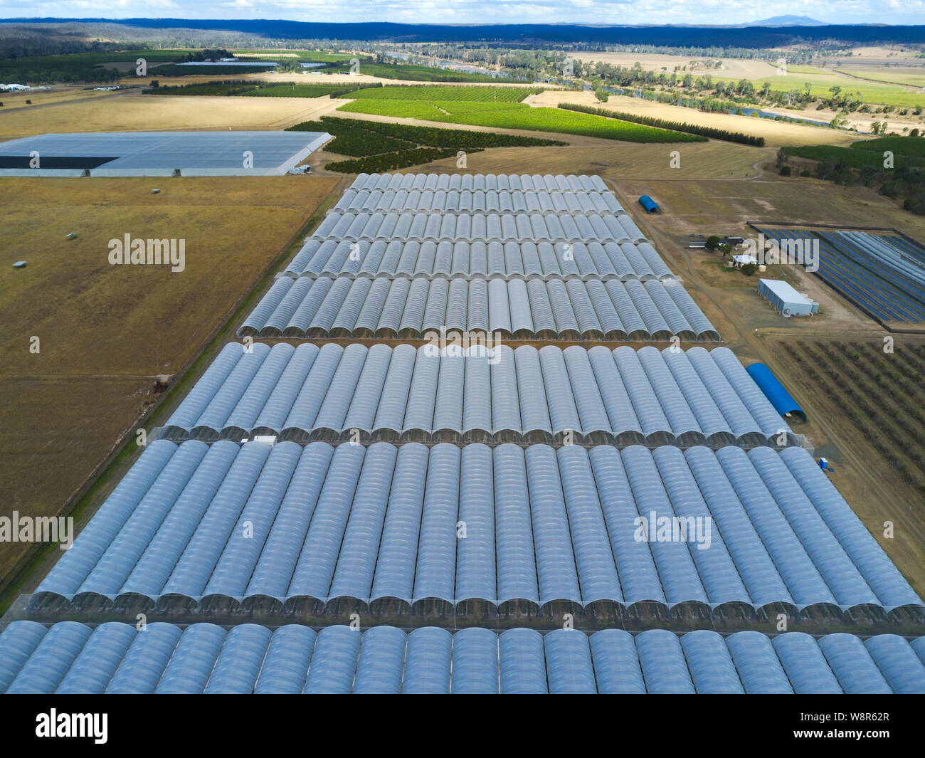 Antenne aus Kunststoff Tunnel Gehäuse hydroponic gewachsen Heidelbeeren Pflanzen bei Wallaville Queensland Australien Stockfoto