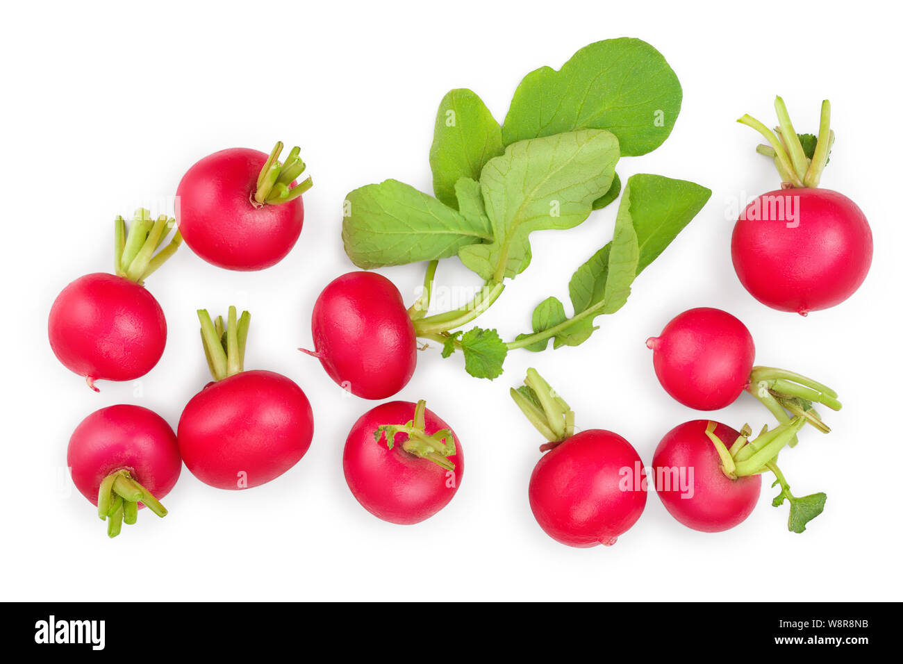 Frische ganze Rettich auf weißem Hintergrund. Ansicht von oben Stockfoto