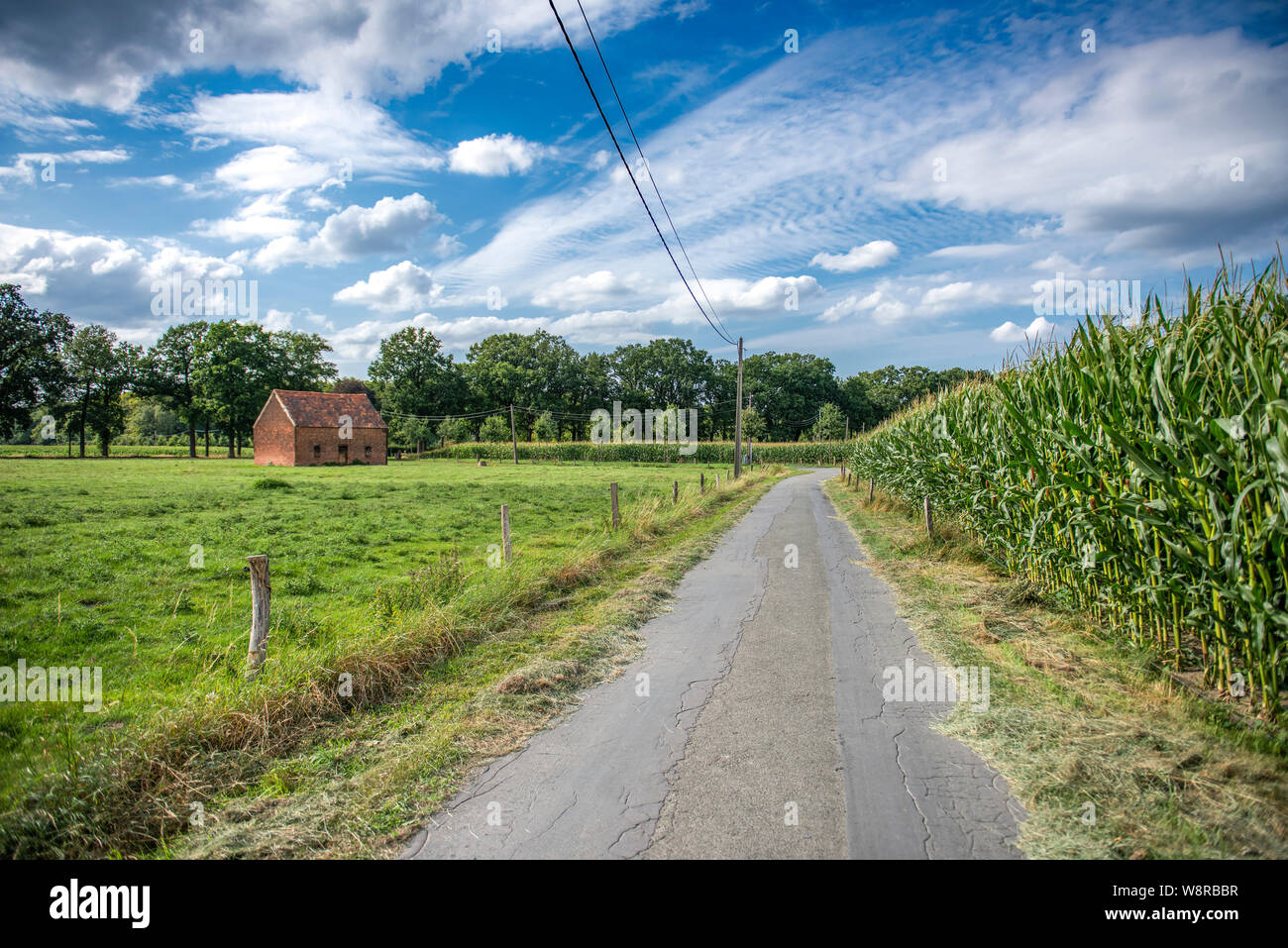 Ländlichen Bauernhof Straße Landschaft. Land Blick auf Strasse. Farm Road in der Landschaft. Ländliche Country Road, Stockfoto