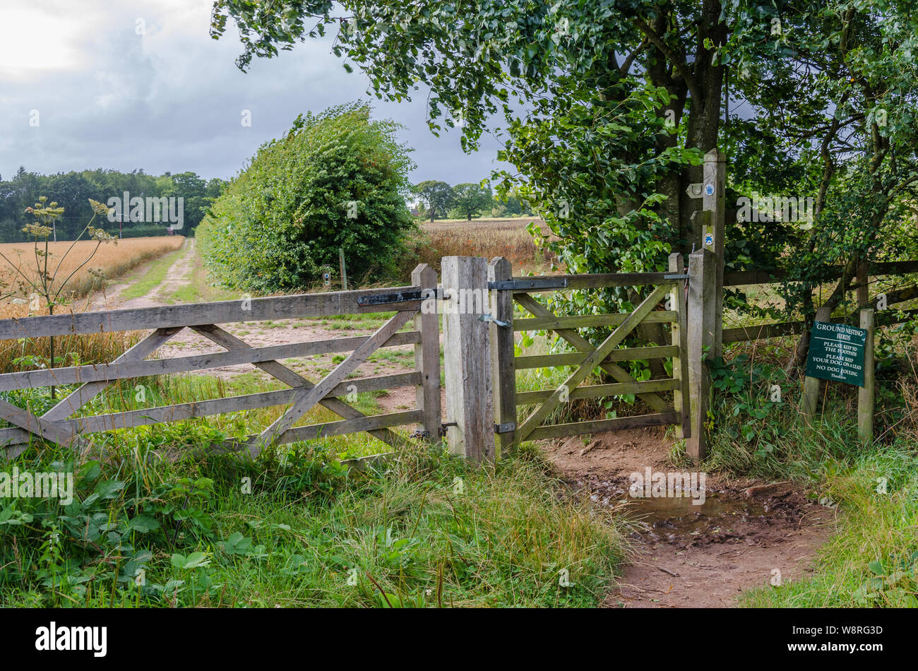Ein Tor in einem hölzernen Zaun in der South Staffordshire Landschaft in der Nähe des Dorfes Perton, Großbritannien Stockfoto