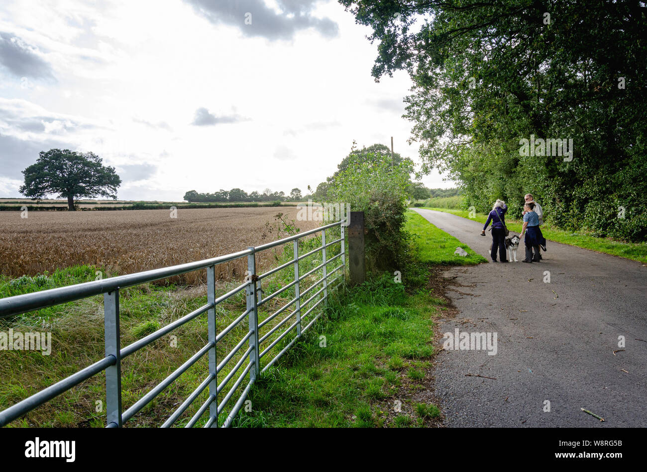 Eine Gruppe von Freunden stoppen und Chat in einen Feldweg in der South Staffordshire Landschaft. Stockfoto