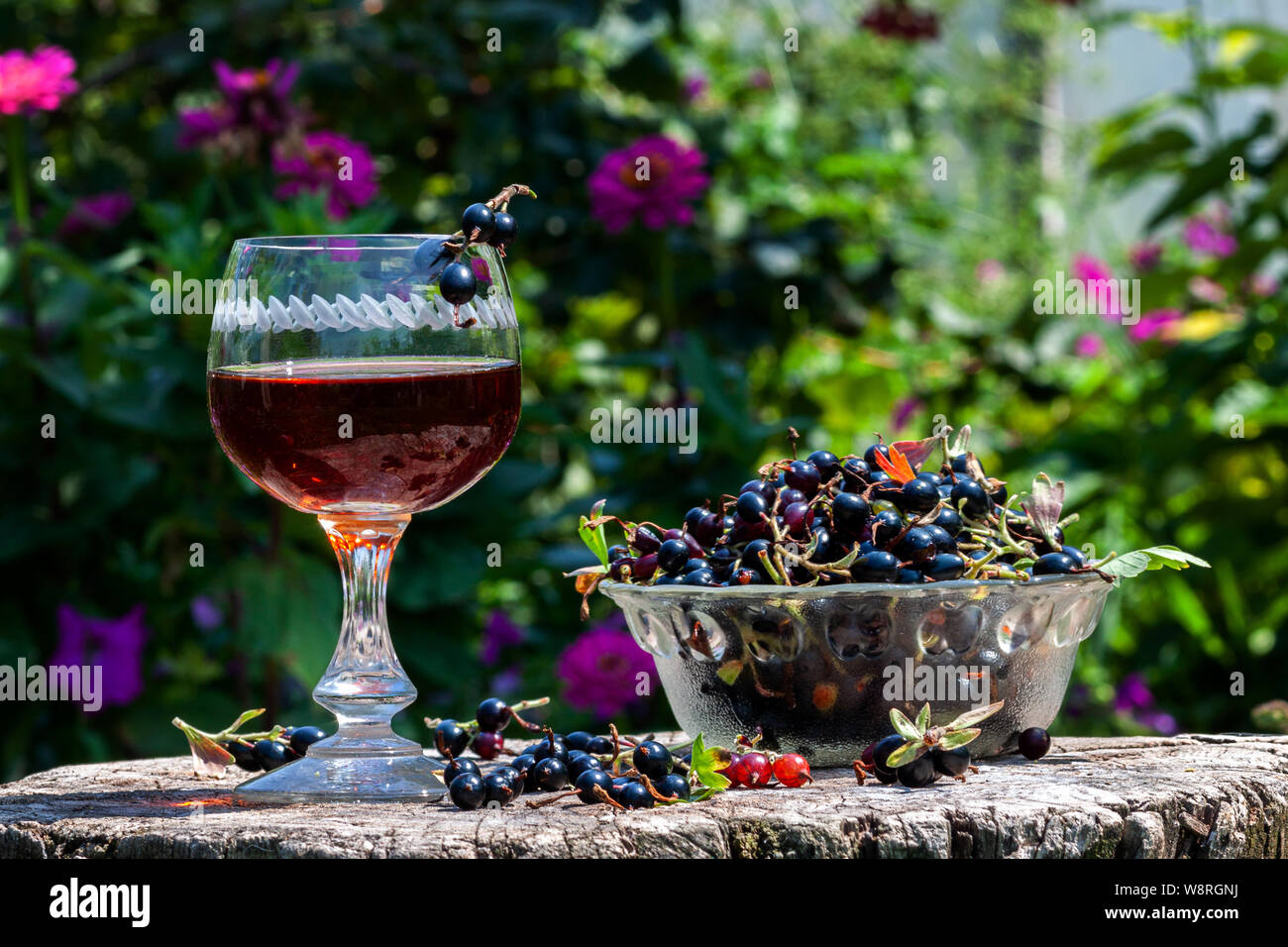 Schwarze Johannisbeere Wein mit Beeren in avza Glas aus einem alten Holztisch Stockfoto