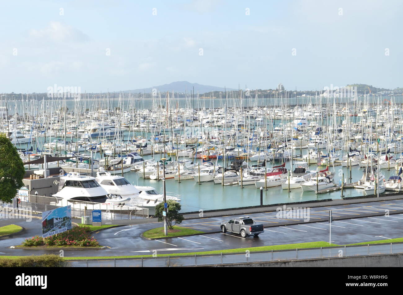 Aucklands Westhaven Marina mit Rangitoto Island im Hintergrund Stockfoto