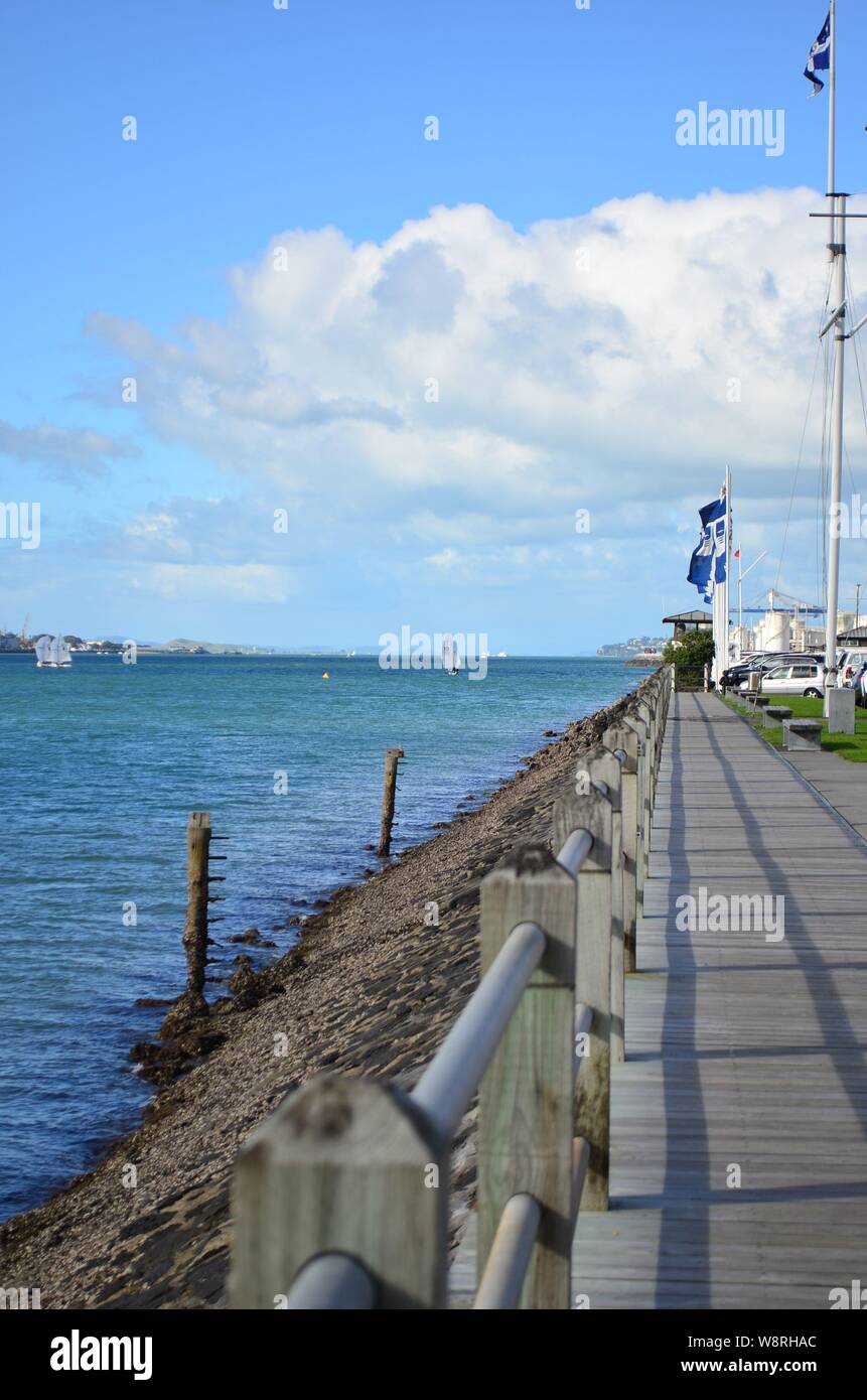 Segeln im Hafen von Auckland, Neuseeland Stockfoto