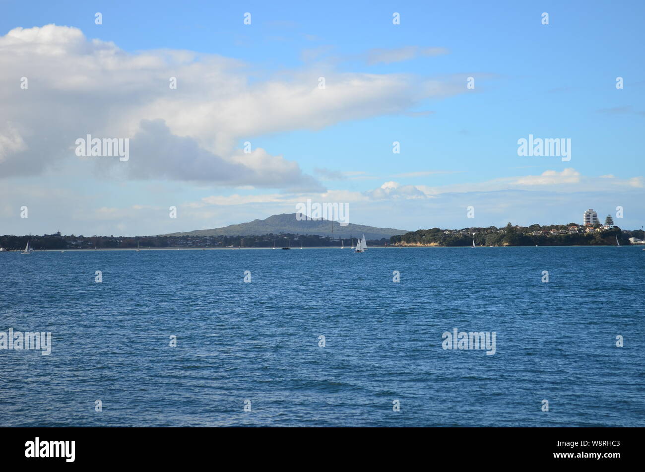 Segeln im Hafen von Auckland mit Rangitoto Island im Hintergrund Stockfoto
