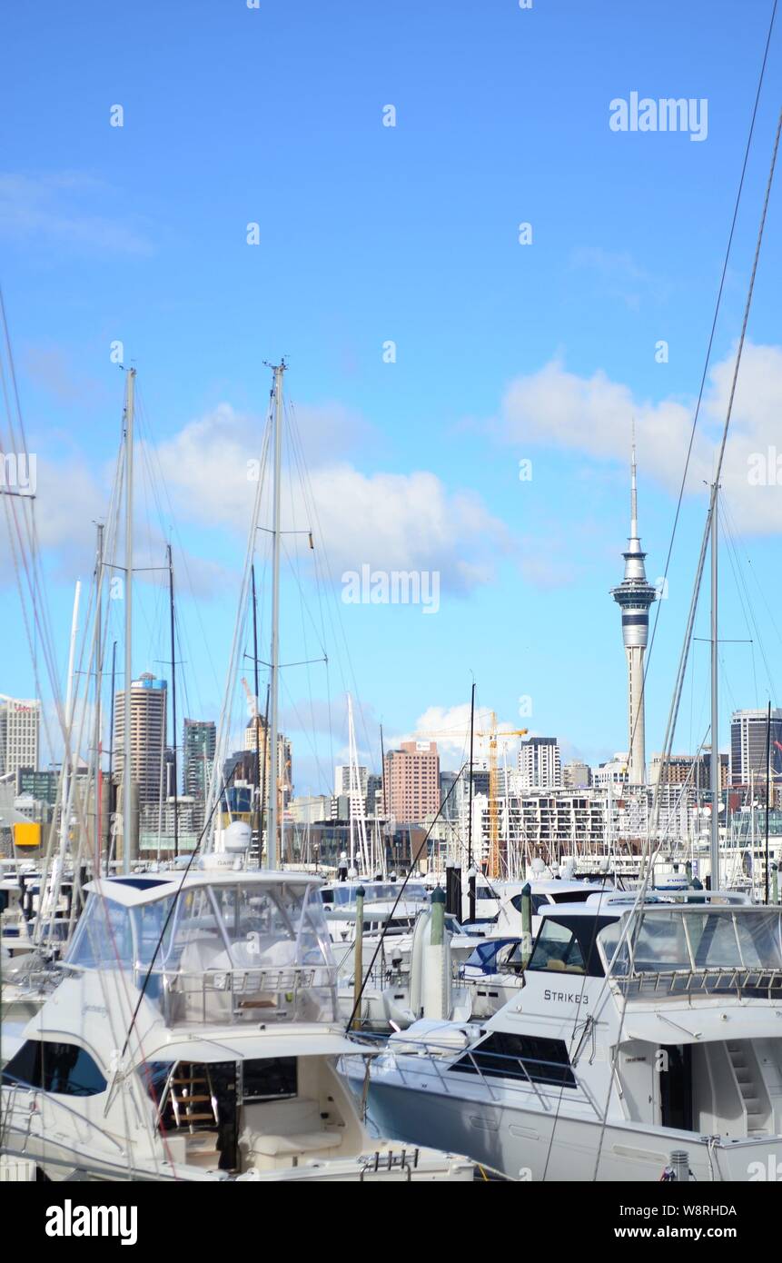 Die Stadt Auckland Westhaven Marina Stockfoto