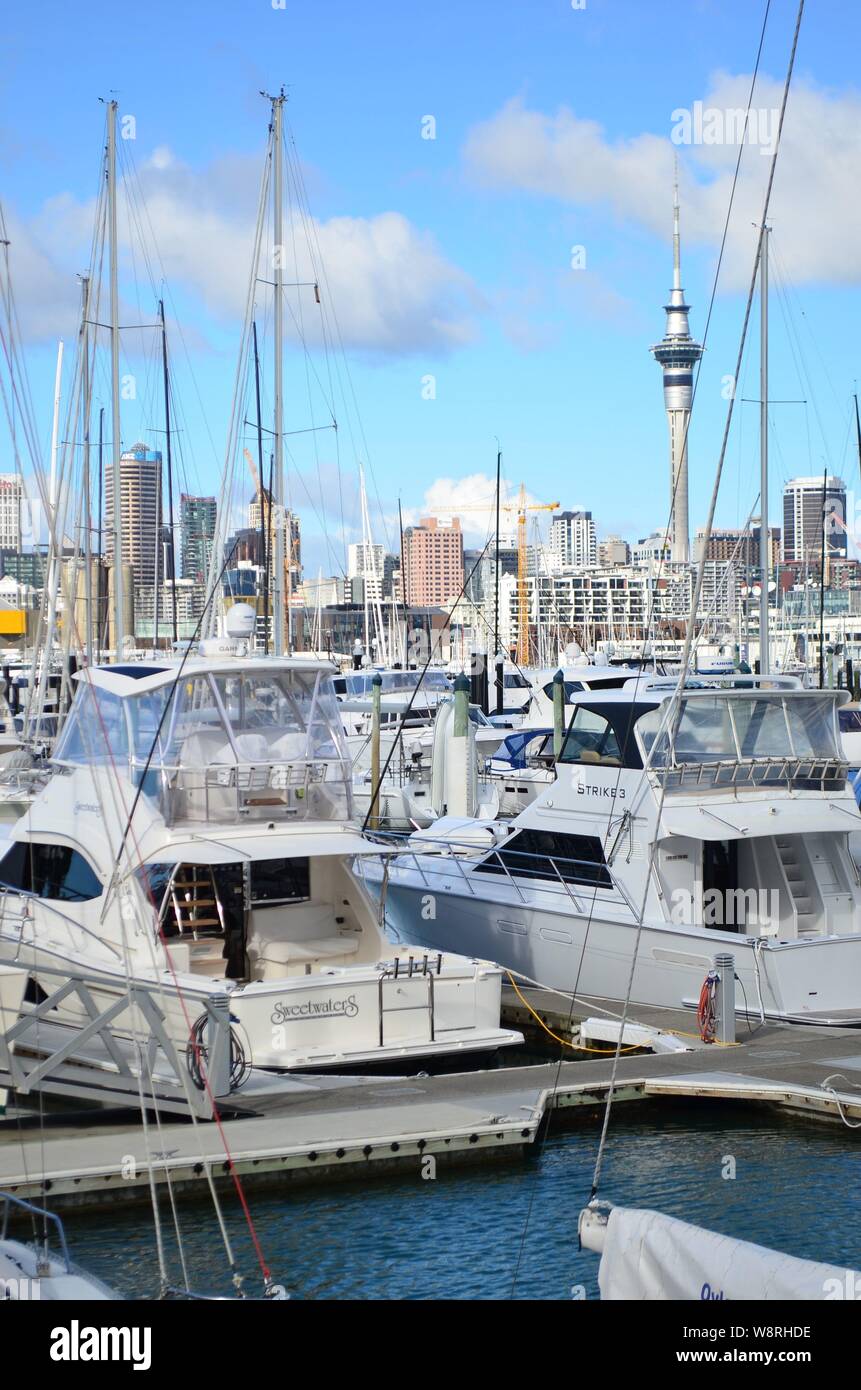 Die Stadt Auckland Westhaven Marina Stockfoto