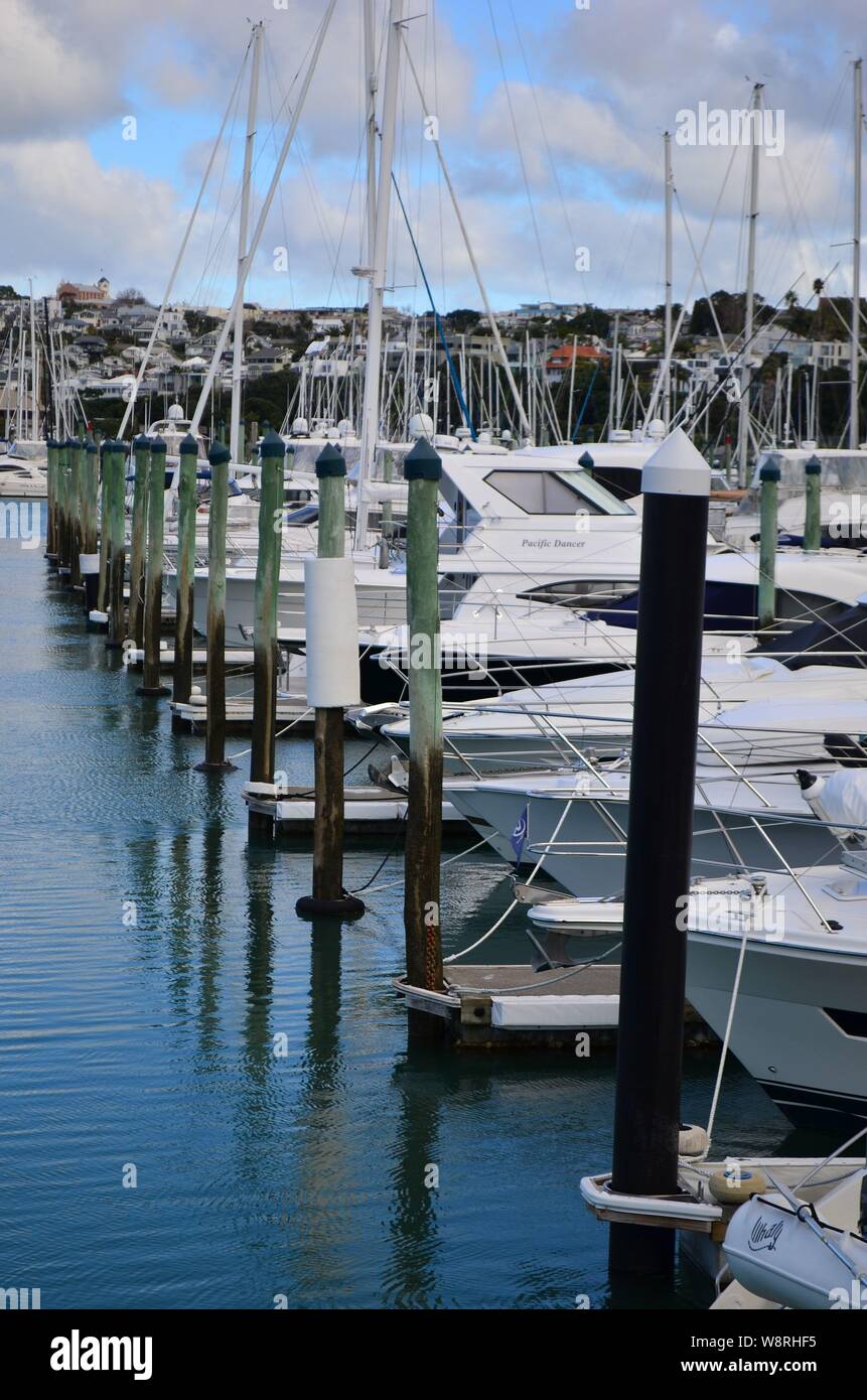 Die Stadt Auckland Westhaven Marina Stockfoto