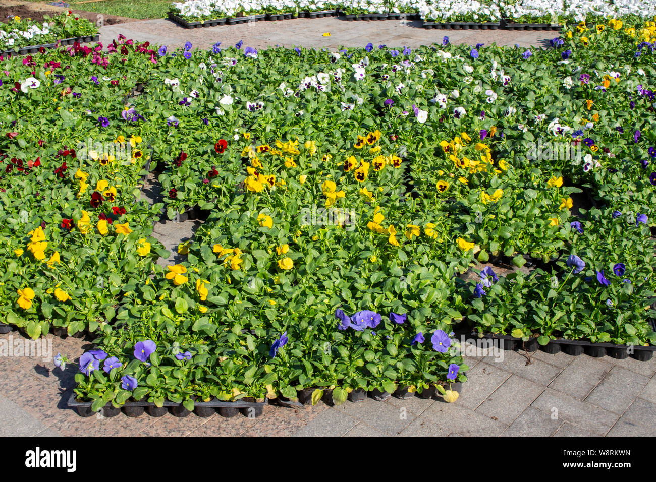 Blumenbeete vorbereiten Fotos und Bildmaterial in hoher Auflösung Alamy
