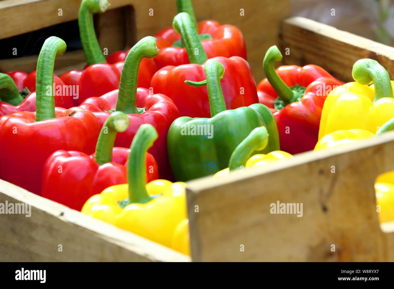 Bunten süßen Paprika im Holzkasten Stockfoto