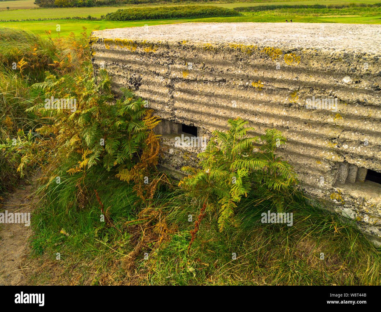 Weltkrieg zwei Pille, Dunstanburgh, Northumberland, England Stockfoto