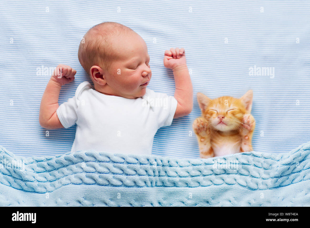 Baby Und Katze Die Auf Bett Schlafen Stockfotos Baby Und
