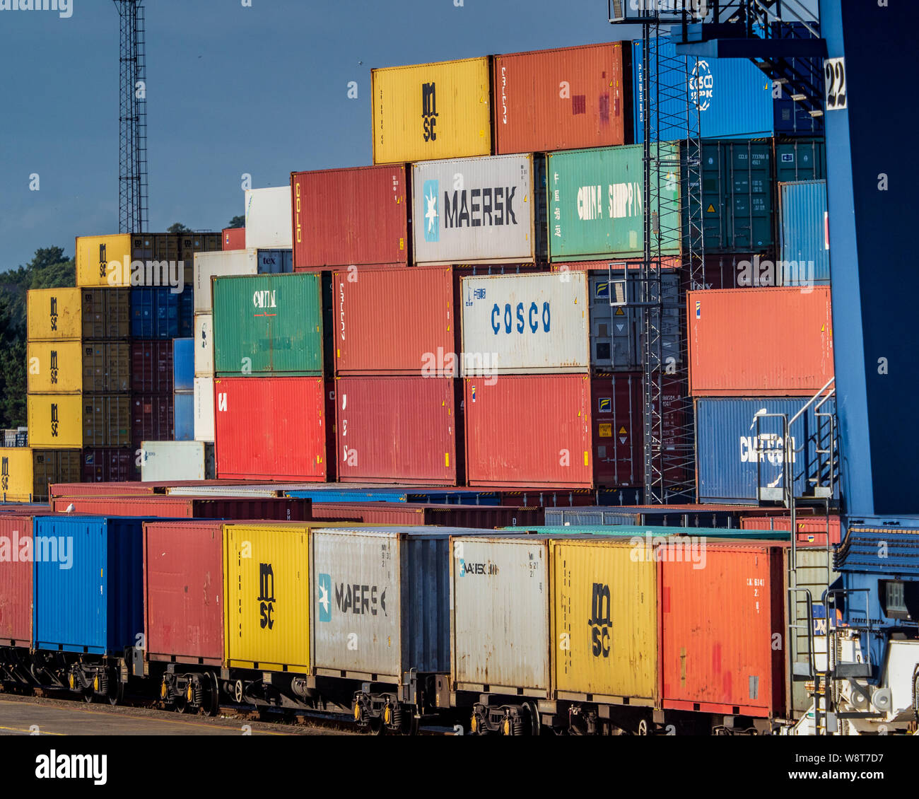 Rail Freight UK - intermodale Container werden in Güterzügen im Felixstowe Port, dem größten Containerhafen Großbritanniens, verladen. Stockfoto
