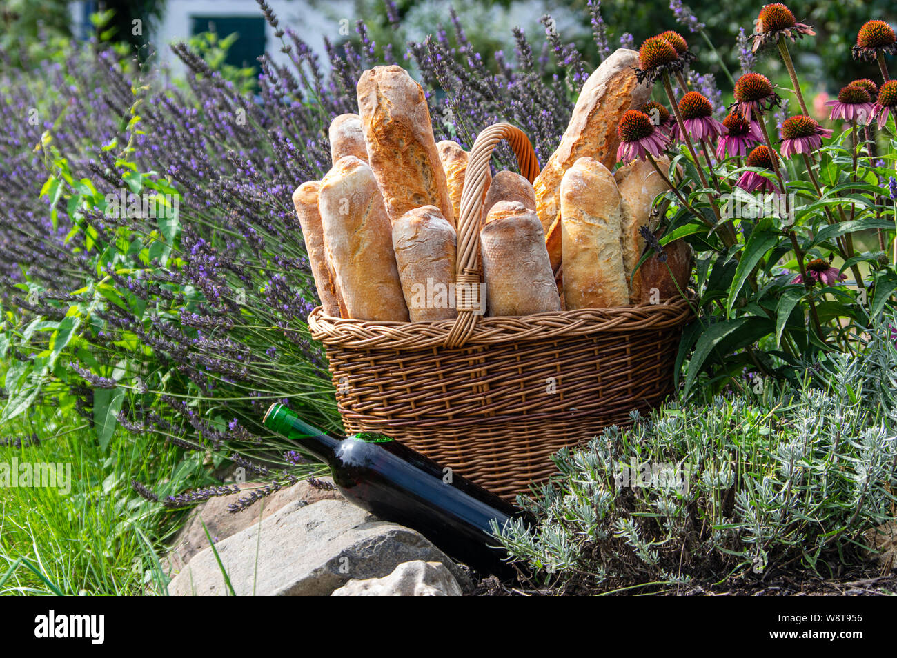 Flasche Rotwein und Korb mit französischen Baguettes in Lavendel Feld ausgefüllt Stockfoto