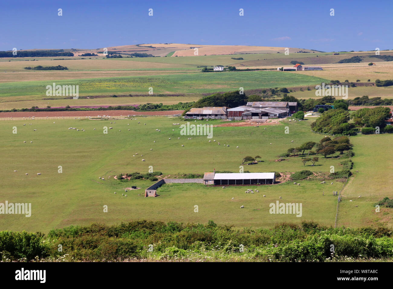 Sieben Schwestern Country Park. Blick nach Norden von Beachy Head Stockfoto