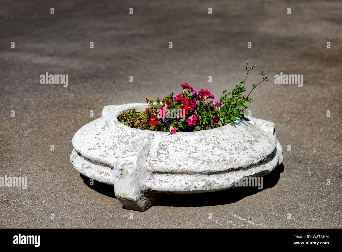 Alien Blumenbeet aus der Vergangenheit. Shard der Vergangenheit an. Blumen in der Stadt. Stockfoto