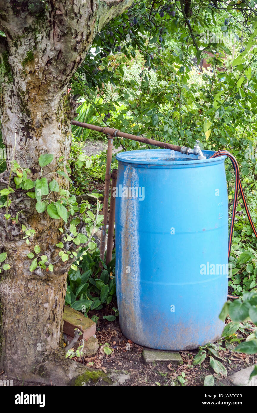 Kunststoff blau Tank, Fass für stehende oder Regenwasser geeignet für Gartenbewässerung Stockfoto