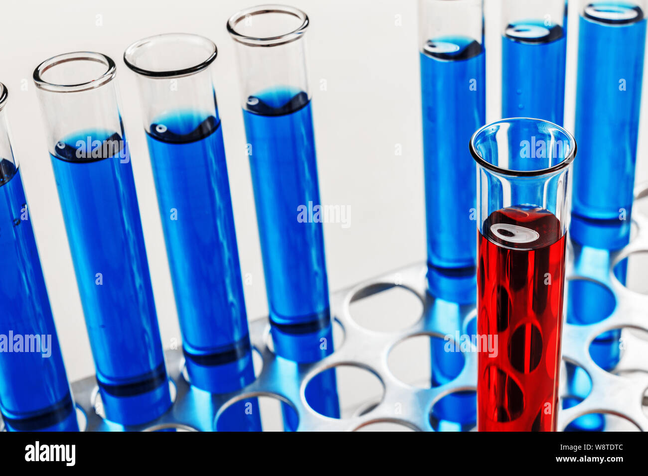 Labor Röhrchen in einem Rack mit blauen und roten Flüssigkeit. Chemie, Wissenschaft, Ausrüstung. Stockfoto