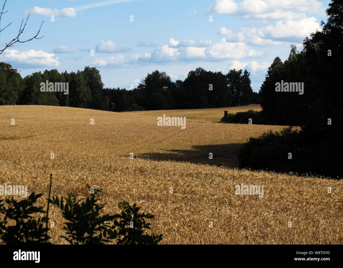 Landscape In East Prussia Stockfotos Landscape In East Prussia